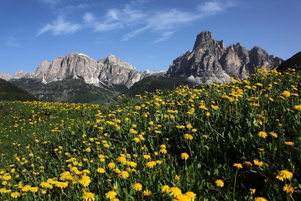 Hotel Bel Sit Corvara In Badia Dış mekan fotoğraf